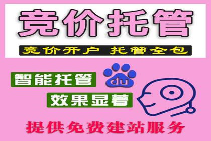 科技公司SEM优化师的日常与挑战——以某科技巨头为例